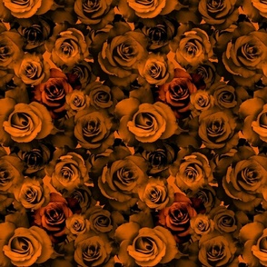 A Bed of Dark Orange Roses 