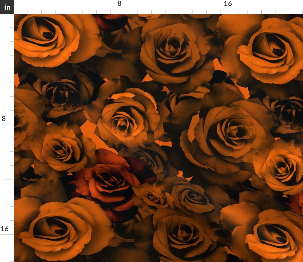 A Bed of Dark Orange Roses (large scale) 