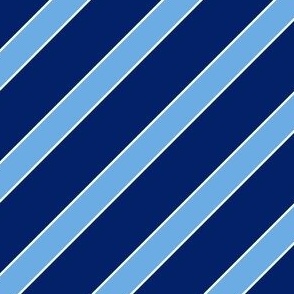 Columbia School Colors Dark Blue and Light Blue Stripes