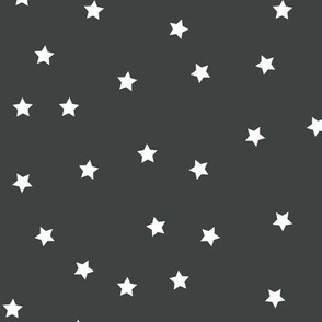 Stars Pattern Dark Grey and White Night Sky, Galaxy Fabric