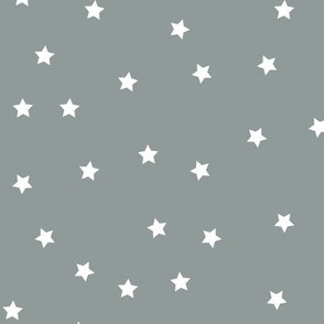  Stars Pattern Light Gray, Baby Girl and White Night Sky, Galaxy Fabric, Light Grey