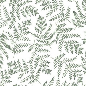 Fern Grotto Hand Painted West Coast Rainforest Ferns in Dusty Green on a White Background