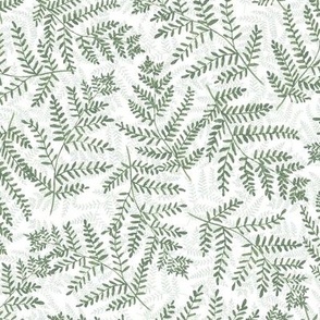 Fern Grotto Hand Painted West Coast Rainforest Ferns in Dusty Green Layers on a White Background