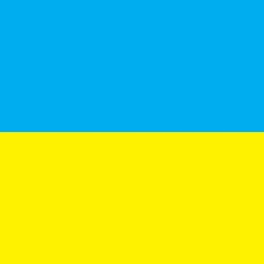 54" x 36" Flag of Ukraine, yellow and blue national Ukrainian banner. 1 yard will make a 54" x 36" banner 