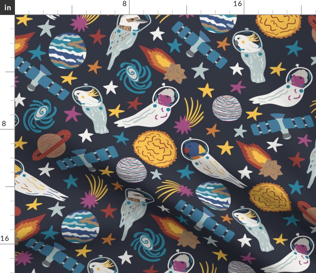 Large Black Grey Australian Birds Exploring Space