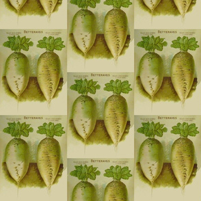 White French Beets