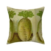 White French Beets pillow