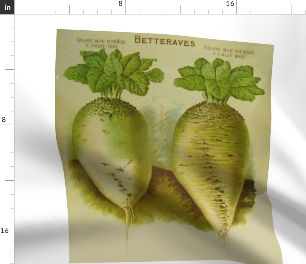 White French Beets pillow