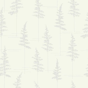 Pine trees - Snow Monochr