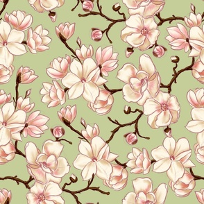Magnolia blossom - white and pink floral design with green background (medium size version)