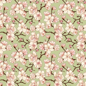 Magnolia blossom - white and pink floral design with green background (small size version)