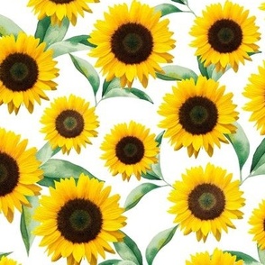 Realistic sunflowers fall garden on white