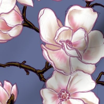 Sketchy Magnolia blossom - white and pink floral design with blue background (large size version)