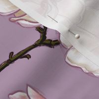 Sketchy Magnolia blossom - white and pink floral design with lilac background (medium size version)