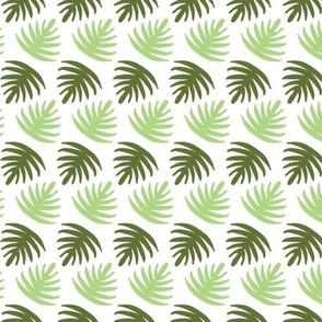 Palm Fronds on White