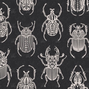 Dark Academy Beetles
