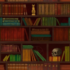  Dark Academia: Magic school library
