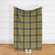 Headmaster Plaid - Olive Green Navy Blue Large Scale
