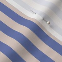 Linen and Shore Blue Stripe Mini