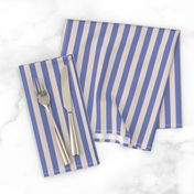 Linen and Shore Blue Stripe Mini