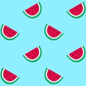 Watermelon Slice Pattern (blue)