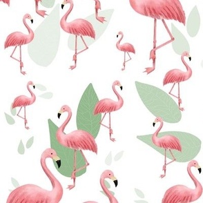 Pink Flamingo with leaves and white background 