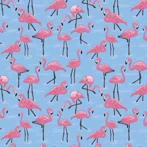 flamingos XL - blue