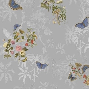 Merian’s butterflies