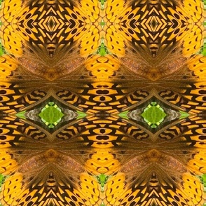 AJ GREAT SPANGLED FRITILLARY ABSTRACT