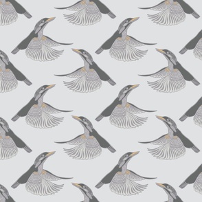 Kingfisher - grey