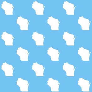 Wisconsin Blue And White