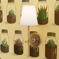 TinyTerrariums (light background large scale) 