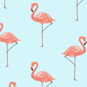 Pink Flamingos_ lg sky-01