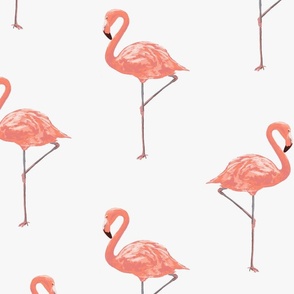 Pink Flamingos_ lg white-01