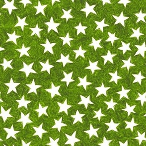 crayon stars - white on leaf green