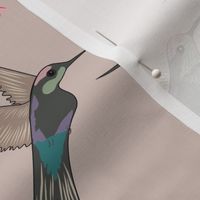 Humming Bird