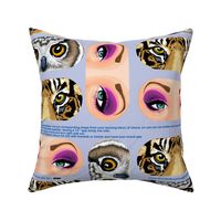 Eye-Eye Pillows