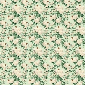 WHITE ROSE CHINTZ SMALL - ENGLISH GARDEN COLLECTION (GREEN)