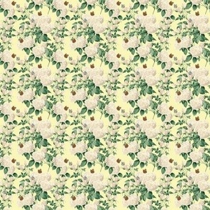 WHITE ROSE CHINTZ SMALL - ENGLISH GARDEN COLLECTION (LEMON)