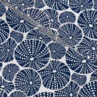 Bed Of Urchins - Nautical Sea Urchins - White Navy Blue Regular