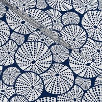 Bed Of Urchins - Nautical Sea Urchins - Navy Blue White Regular