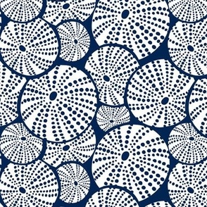 Bed Of Urchins - Nautical Sea Urchins - Navy Blue White Regular