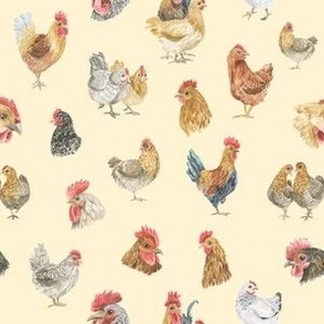 Chickens and Roosters