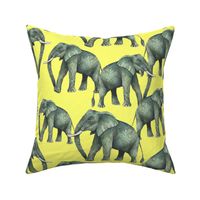 Elephants on Yellow  (large)
