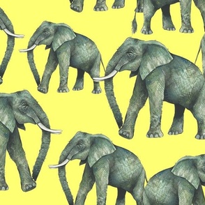 Elephants on Yellow  (large)