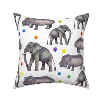 Hippos and Elephants and Pom-Poms on White (large)