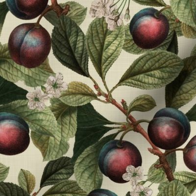 14" Nostalgic Plum Kitchen Wallpaper, Vintage Plums Fabric, Fall Home Decor, linen texture soft beige