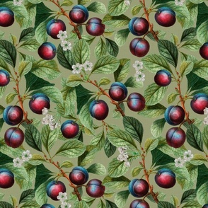 14" Nostalgic Plum Kitchen Wallpaper, Vintage Plums Fabric, Fall Home Decor,linen texture dark green