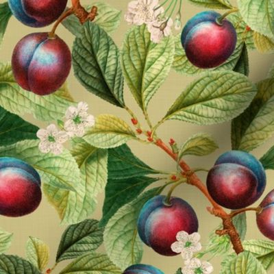 14" Nostalgic Plum Kitchen Wallpaper, Vintage Plums Fabric, Fall Home Decor,linen texture green