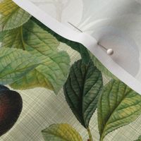 14" Nostalgic Plum Kitchen Wallpaper, Vintage Plums Fabric, Fall Home Decor, linen texture soft sage